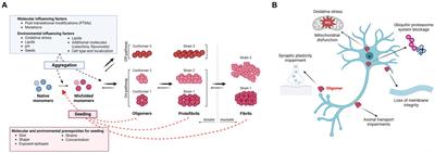 “Prion-like” seeding and propagation of oligomeric protein assemblies in neurodegenerative disorders